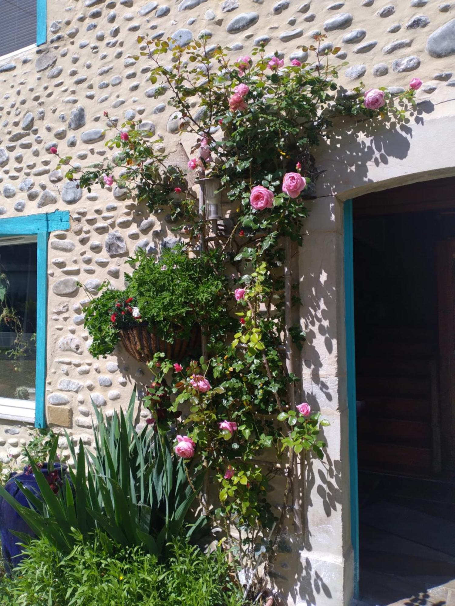 Maison Mignaquy Charritte-de-Bas Luaran gambar